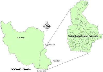 Potential Risk Areas of Aedes albopictus in South-Eastern Iran: A Vector of Dengue Fever, Zika, and Chikungunya